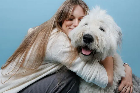 Hund und Mensch interagieren mit ihm