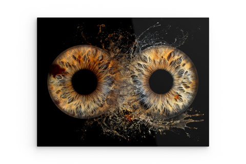 Iris Fotoprodukte  deine Iris als Kunstwerk gestalten | PicturePeople